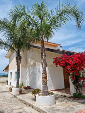 Le Palme